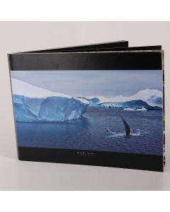 Album foto softcover, landscape, 15x20, 20 file (40-50 poze)